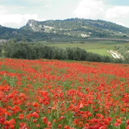 Σπίτι διακοπών Rural La Teja Cortes de Baza